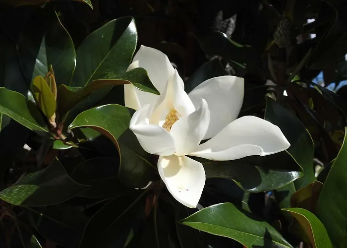 Appartement Casa Di Angela